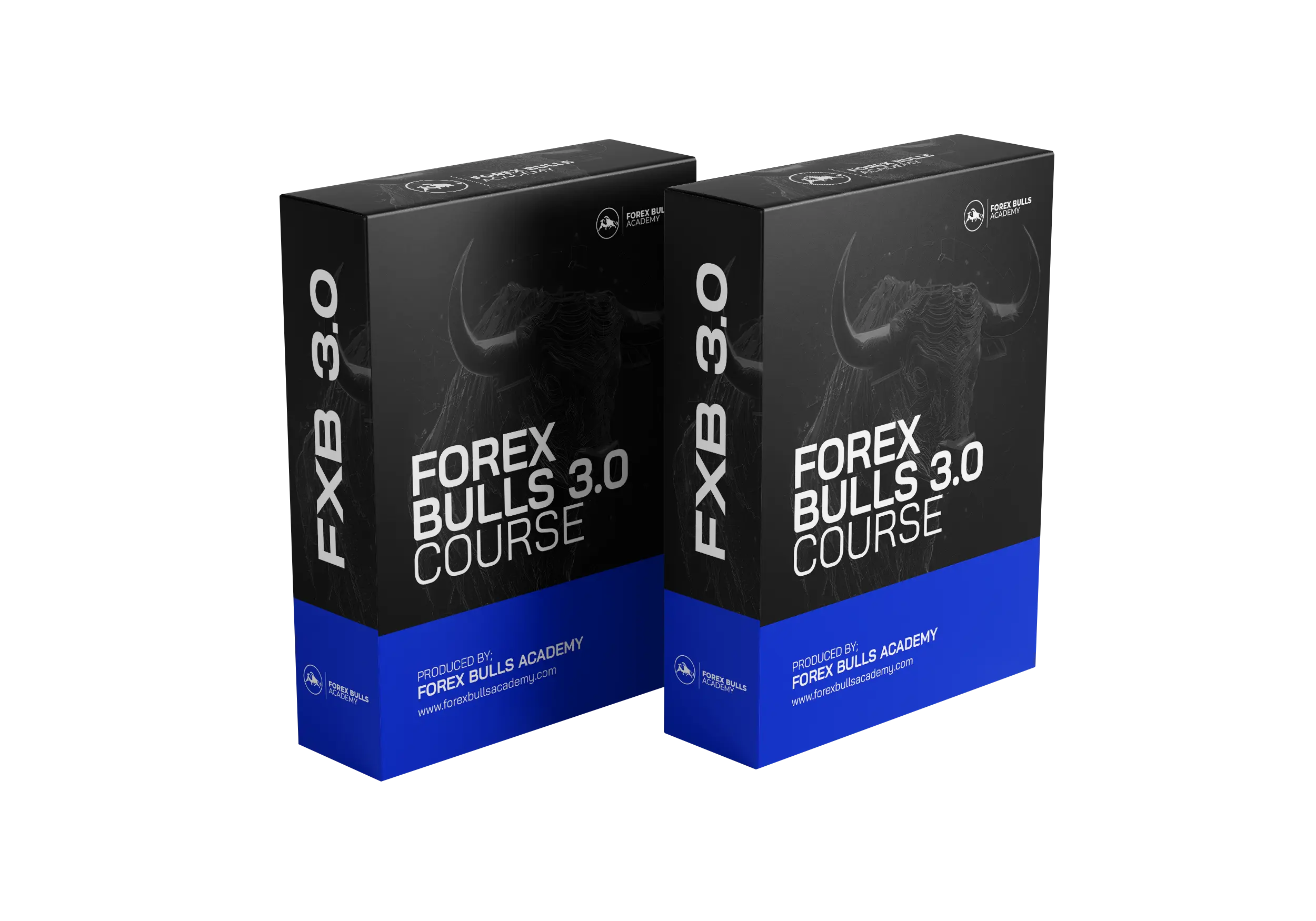 Attend Physical Forex Classes