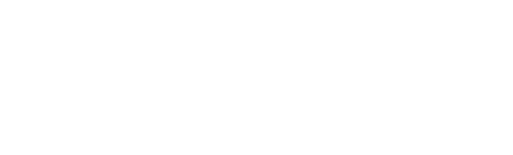 Forex Bulls Academy